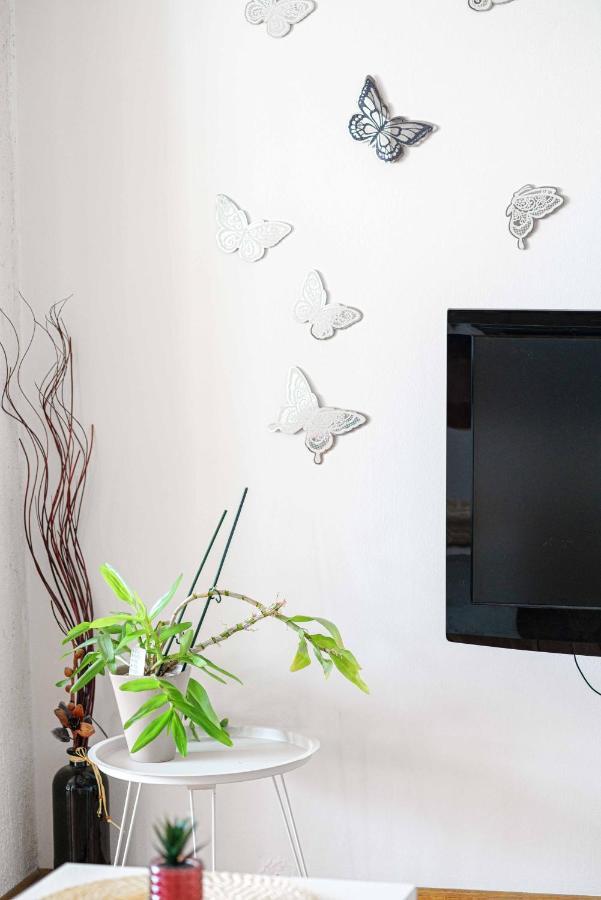 Micin Apartment